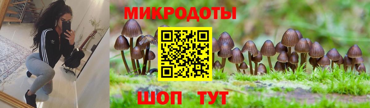 Галлюциногенные грибы Cubensis  Вход с VPN  Старая Купавна 