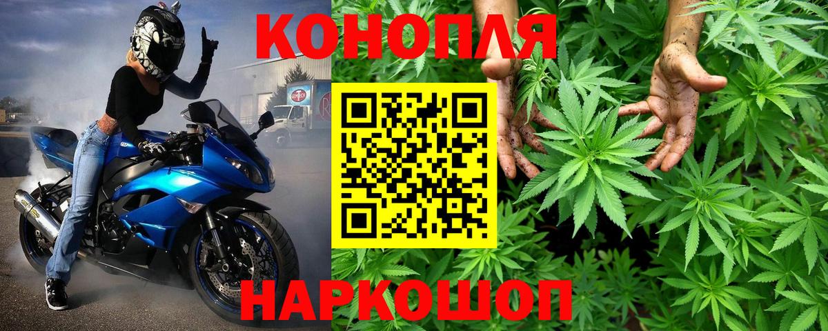 Конопля семена  Вход с VPN  Канабис OG Kush  Канабис сатива  Старая Купавна 